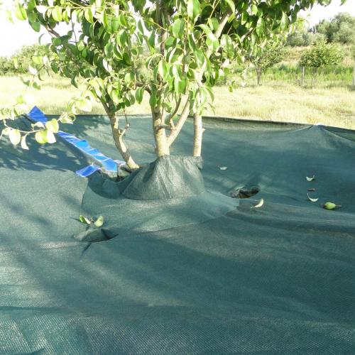 Yaygımatik Silkeleme